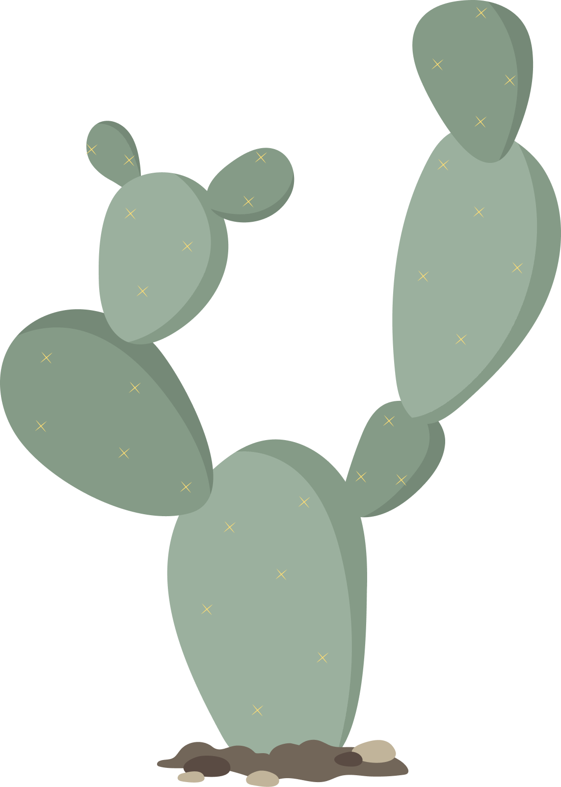 Webzalcoatl Cactus